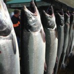 Fishing Valdez Alaska